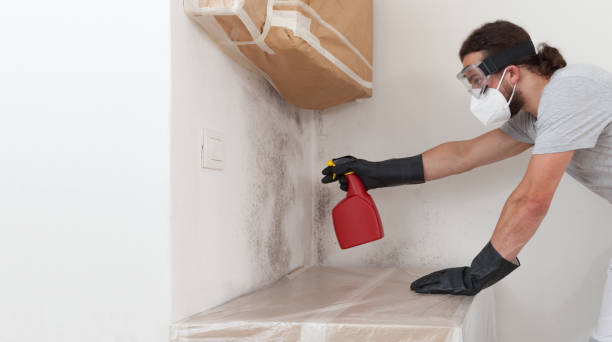 Professional Black Mold Removal technician working in Hendersonville, NC