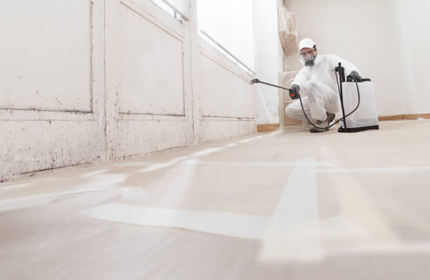 24/7 Emergency Black Mold Removal experts in Hendersonville, NC