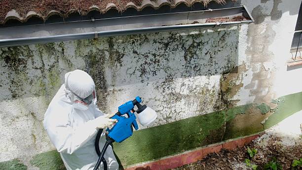 Trusted Commercial Mold Remediation service in Hendersonville, NC - Cheap Mold Removal